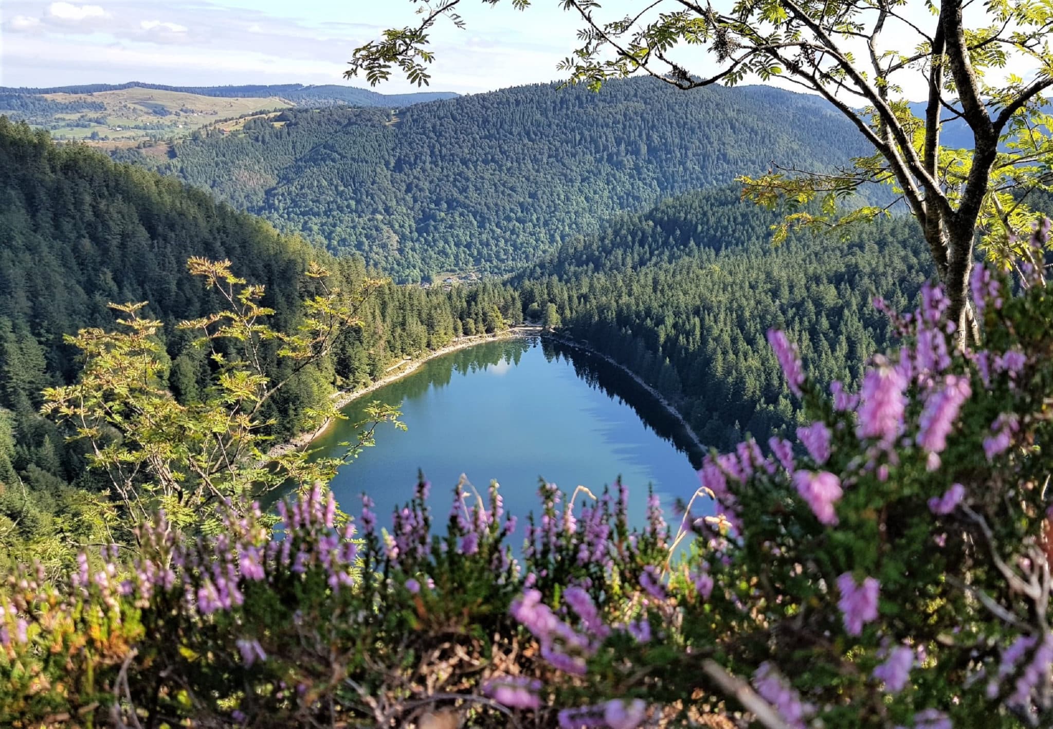 View,Of,Lac,Des,Corbeaux,In,The,Vosges