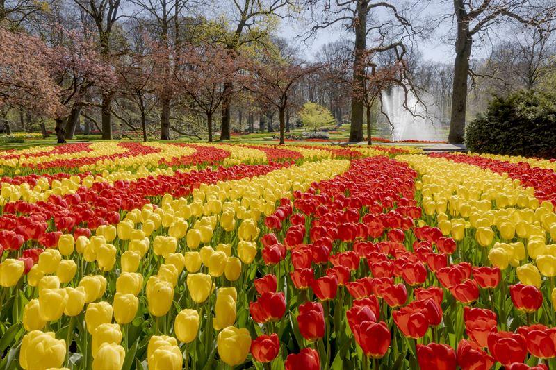 lesjardinsdekeukenhof