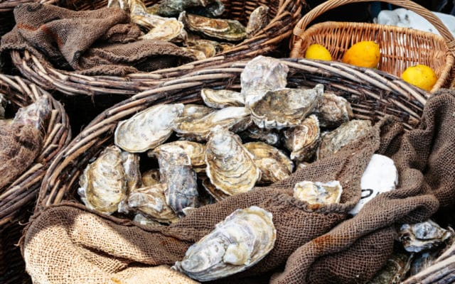 Travel,To,France,-,Fresh,Raw,Oysters,On,Outdoor,Street