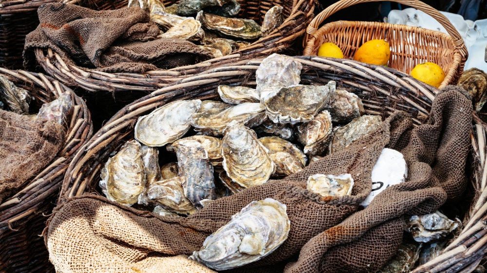 Travel,To,France,-,Fresh,Raw,Oysters,On,Outdoor,Street