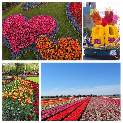 Keukenhof _ Corso