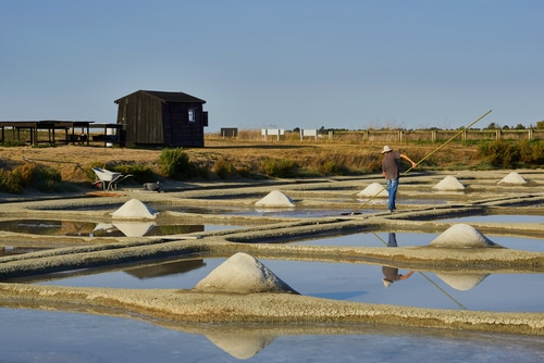 Man,Working,In,A,Salt,Marsh,On,Noirmoutier,Island,,Franve