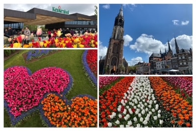 2024/04/10 - Mercredi - Les jardins de Keukenhof et la charmante ville de Delft-image