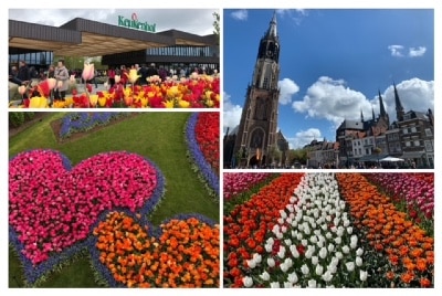 Keukenhof _ Delft