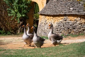 cabanes du breuil 1 @lesCoflocs