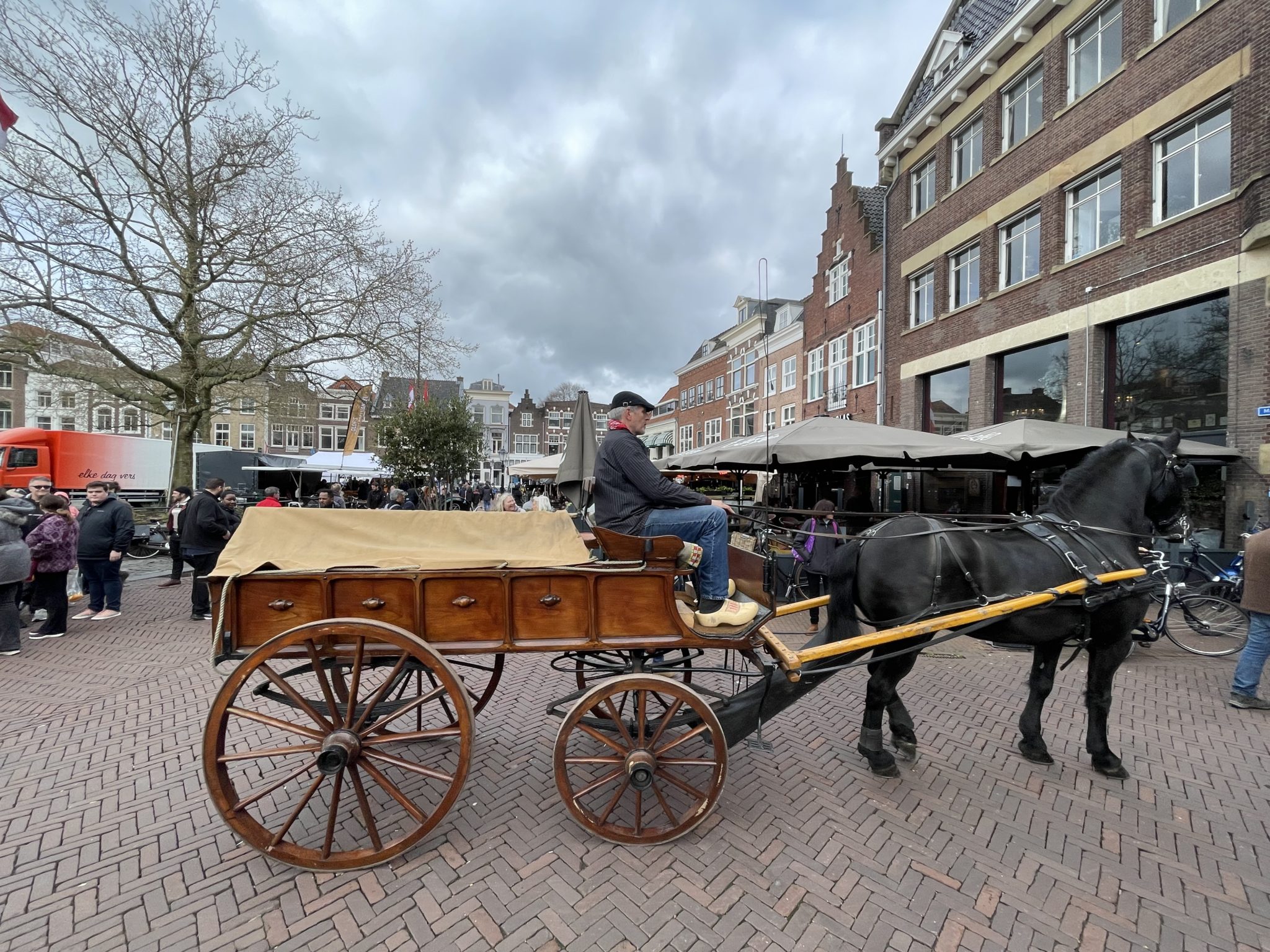 IMG_4009
