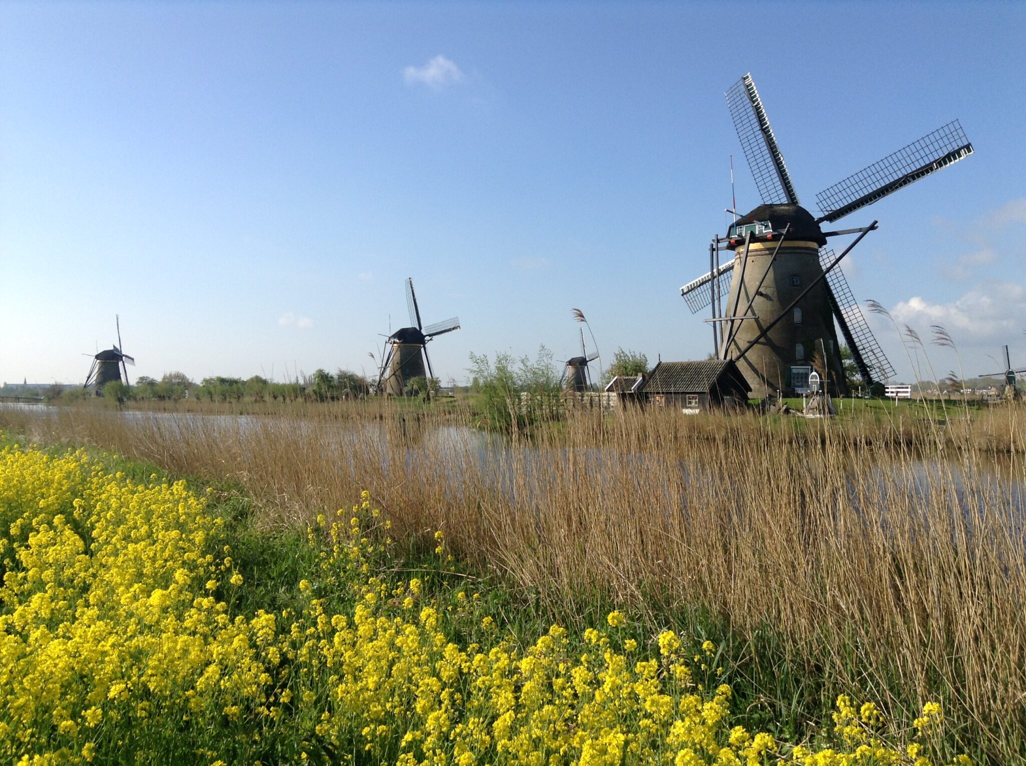 2025/07/05 - Weekend du 05/07 au 06/07 - Les Moulins de Kinderdijk, le Château De Haar, Rotterdam et Utrecht-image
