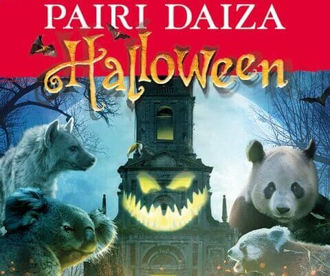 2025/09/27 - Samedi 27/09 - Pairi Daiza '' Les Plaisirs d'automne et Halloween ''-image